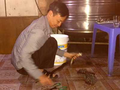 Killing Snake and draining blood and bile